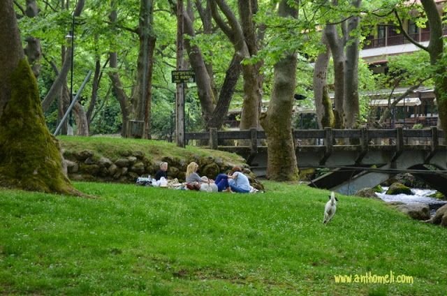 Εκδρομή στη Νάουσα και στο Άλσος Αγίου Νικολάου