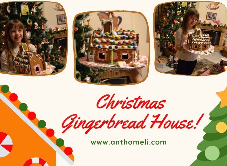 Χριστουγεννιάτικο Μπισκοτόσπιτο (Gingerbread House) 1