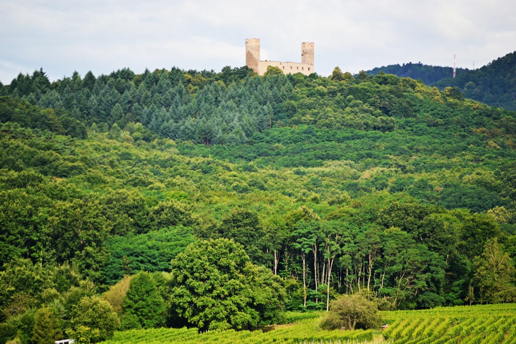 Αλσατία, ο δρόμος του κρασιού (Route de vine d’ Alsace). Mittelbergheim