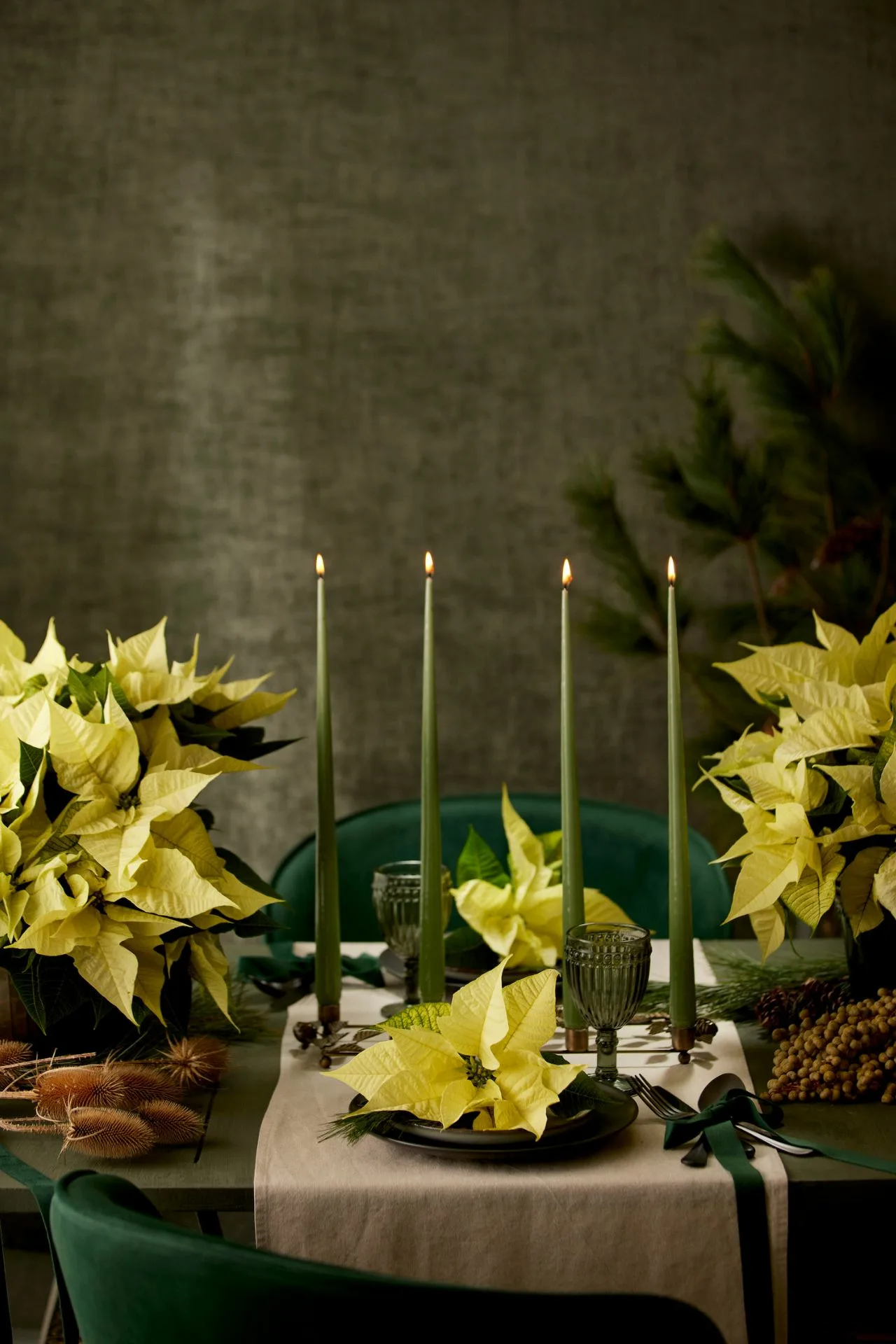 4 ιδέες διακόσμησης για το γιορτινό τραπέζι των Χριστουγέννων με Αλεξανδρινά