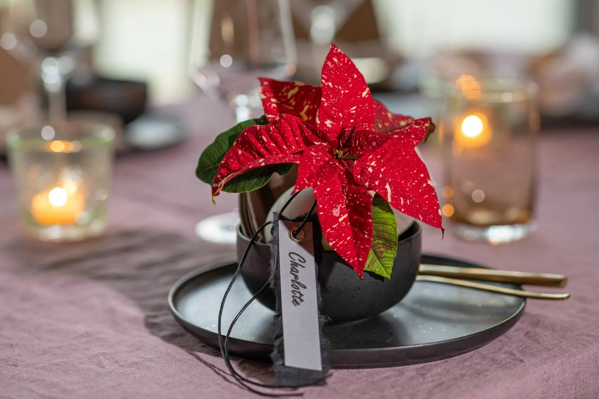 4 ιδέες διακόσμησης για το γιορτινό τραπέζι των Χριστουγέννων με Αλεξανδρινά